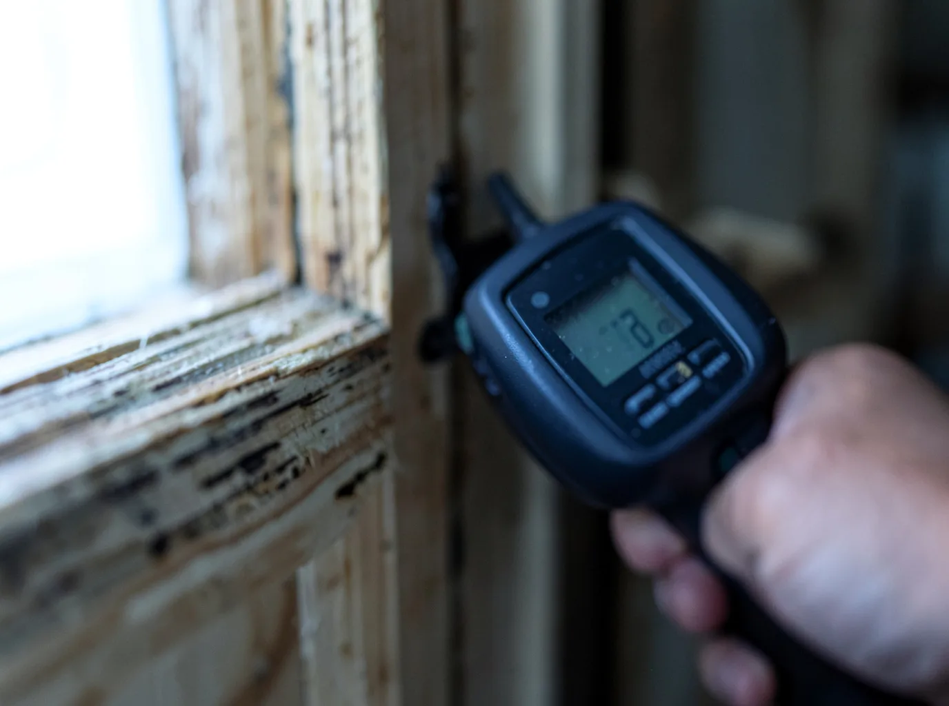 Commercial Water Damage Restoration in Notrees, TX